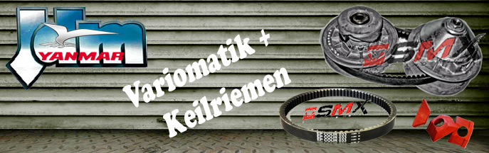 Variomatik & Keilriemen JDM Aloës